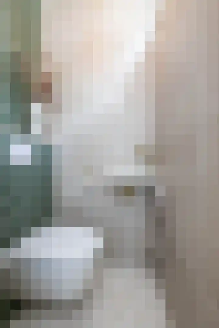 Steenakkers 43 Tynaarlo thumbnail 16