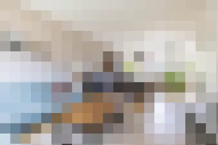 Steenakkers 43 Tynaarlo thumbnail 19