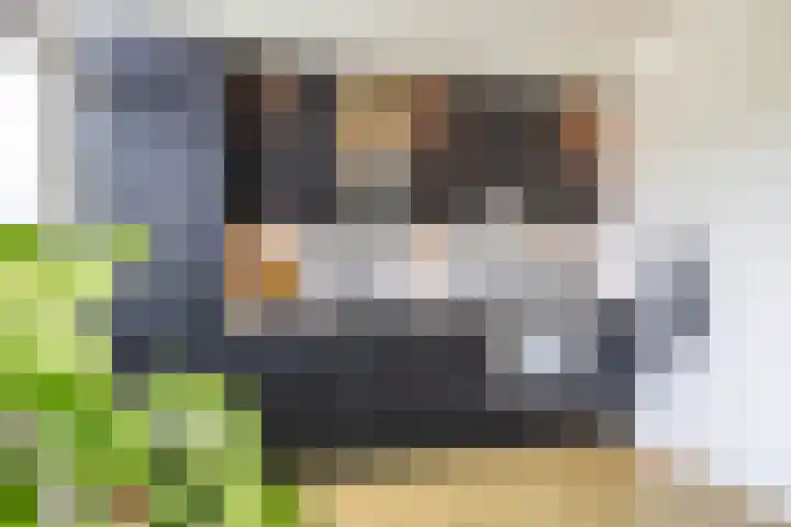 Steenakkers 43 Tynaarlo thumbnail 24