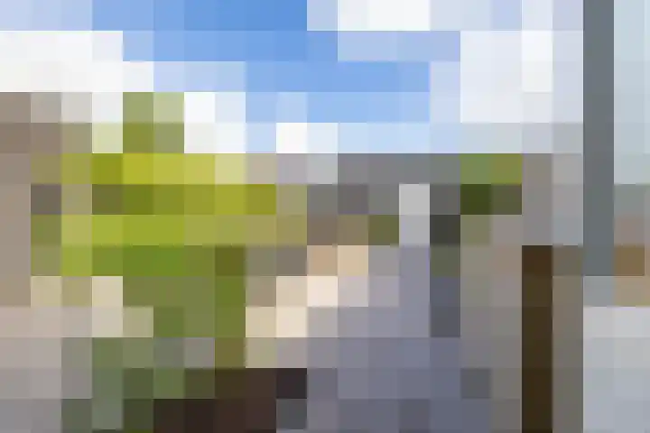 Steenakkers 43 Tynaarlo thumbnail 29