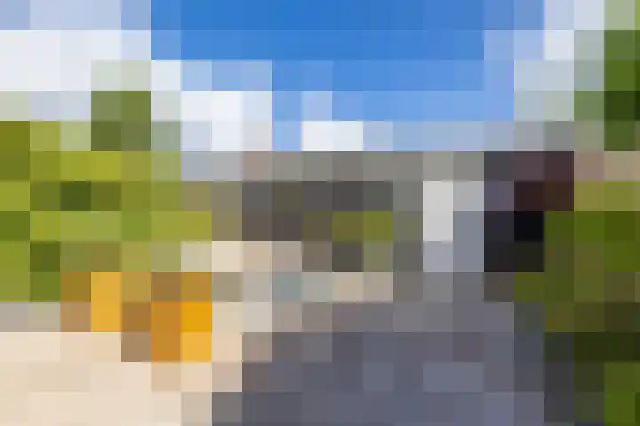 Steenakkers 43 Tynaarlo thumbnail 30
