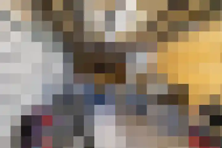 Steenakkers 43 Tynaarlo thumbnail 38