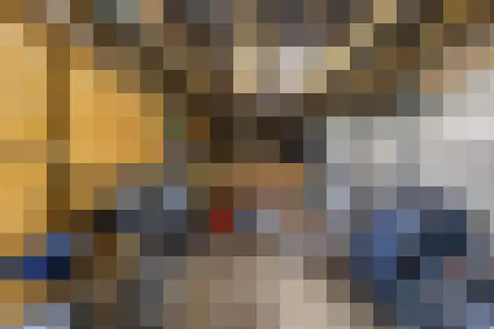 Steenakkers 43 Tynaarlo thumbnail 39