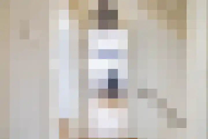 Steenakkers 43 Tynaarlo thumbnail 40