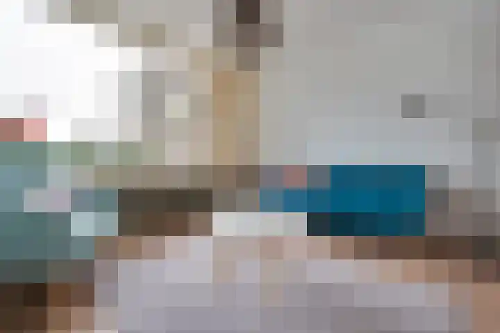 Steenakkers 57 Tynaarlo thumbnail 10