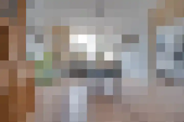 Steenakkers 57 Tynaarlo thumbnail 12