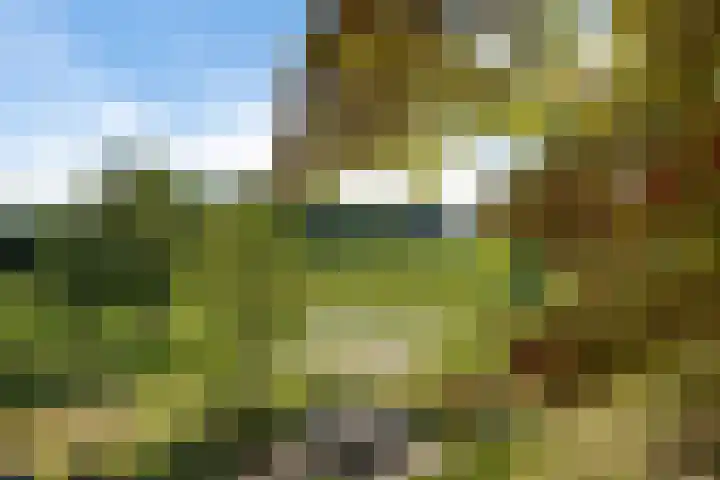Steenakkers 57 Tynaarlo thumbnail 13