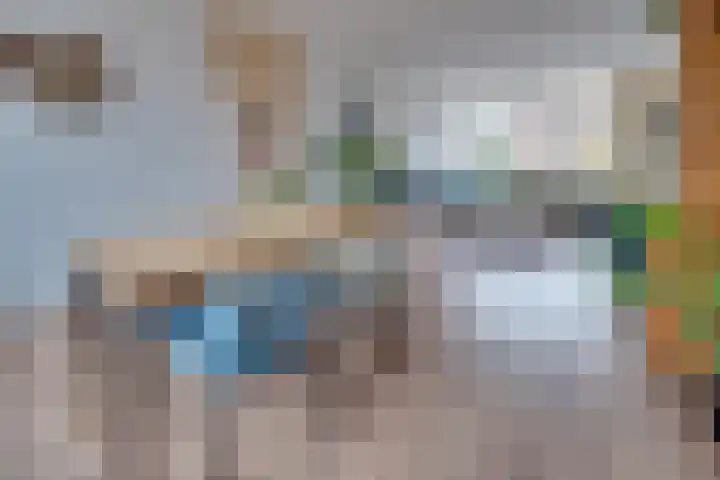 Steenakkers 57 Tynaarlo thumbnail 14