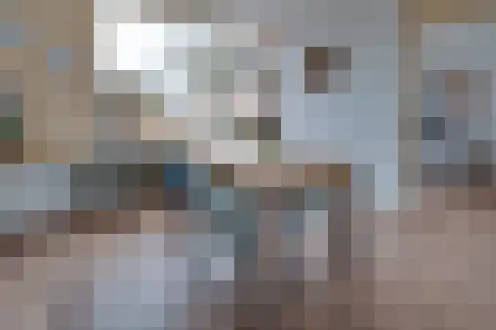 Steenakkers 57 Tynaarlo thumbnail 15