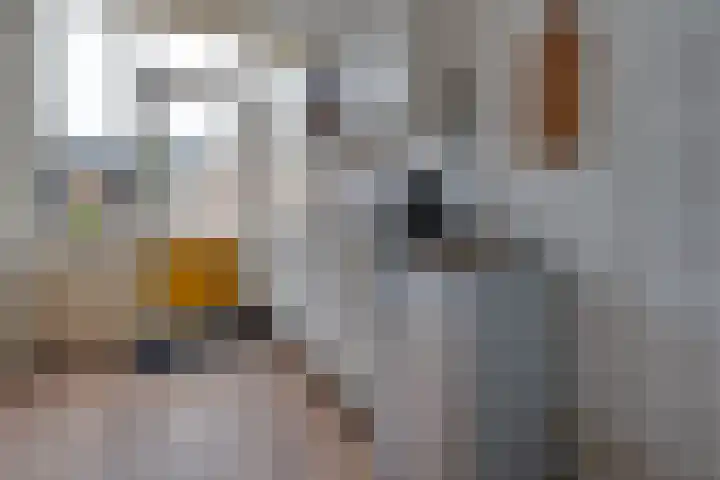 Steenakkers 57 Tynaarlo thumbnail 16