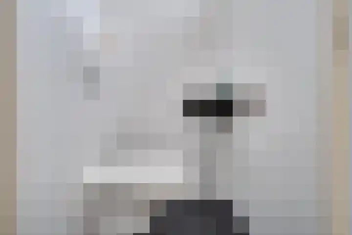 Steenakkers 57 Tynaarlo thumbnail 19