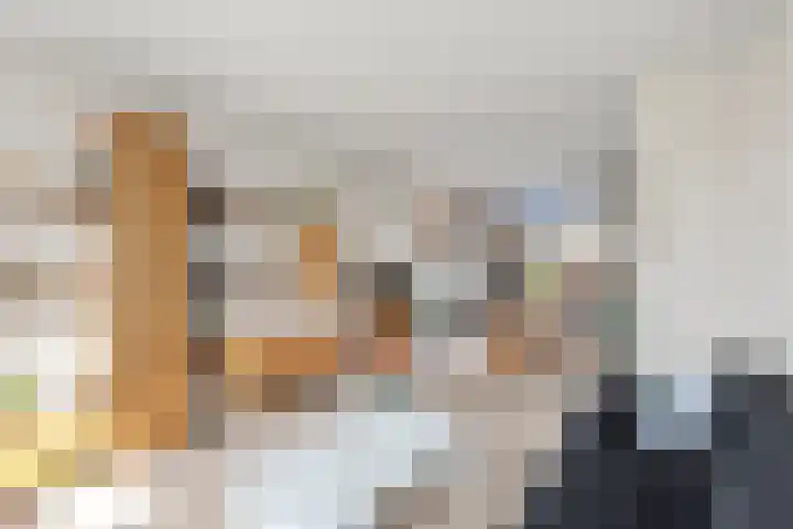 Steenakkers 57 Tynaarlo thumbnail 20