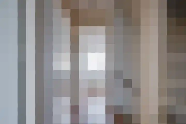 Steenakkers 57 Tynaarlo thumbnail 21
