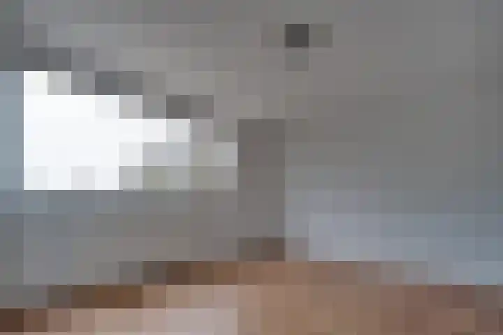 Steenakkers 57 Tynaarlo thumbnail 24