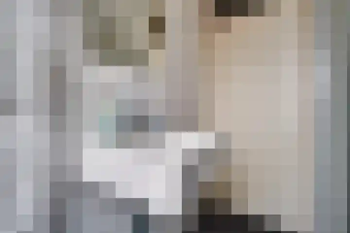 Steenakkers 57 Tynaarlo thumbnail 26
