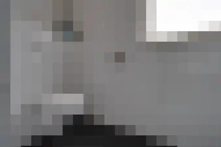 Steenakkers 57 Tynaarlo thumbnail 27