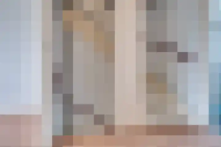 Steenakkers 57 Tynaarlo thumbnail 29
