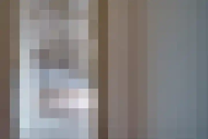 Steenakkers 57 Tynaarlo thumbnail 30