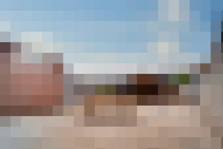 Steenakkers 57 Tynaarlo thumbnail 32