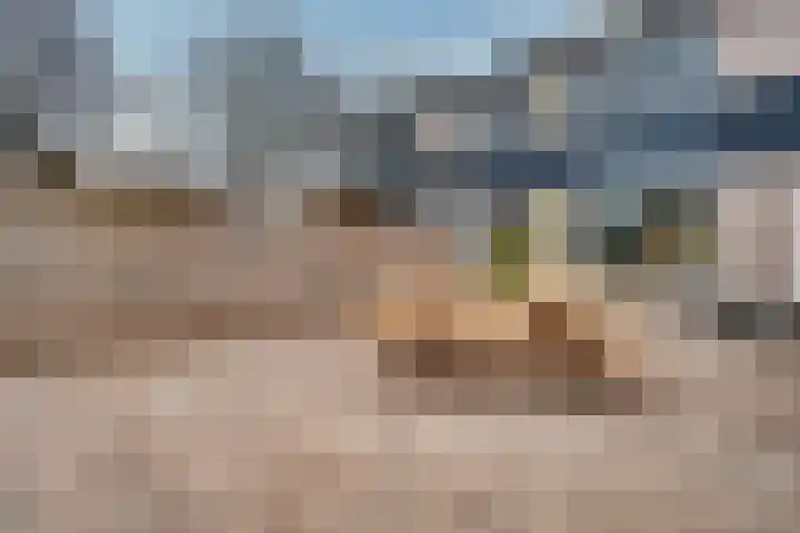 Steenakkers 57 Tynaarlo thumbnail 36