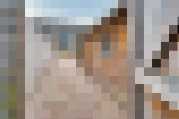 Steenakkers 57 Tynaarlo thumbnail 37