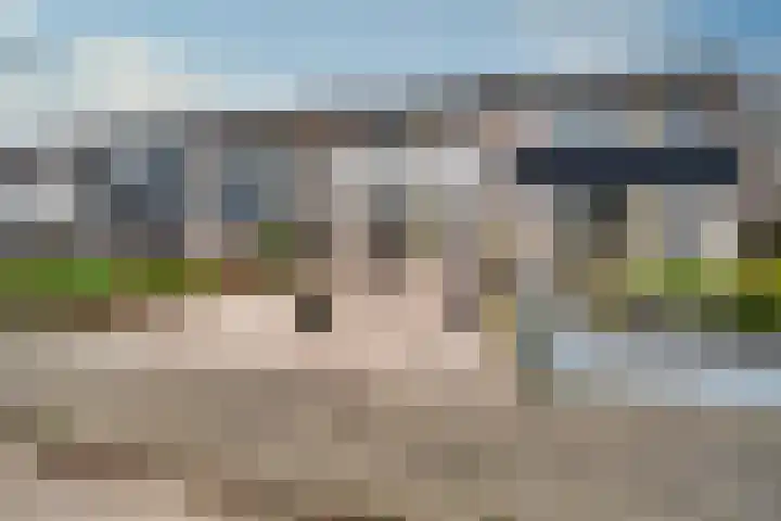 Steenakkers 57 Tynaarlo thumbnail 6