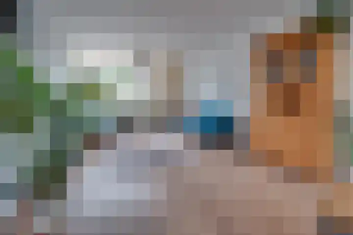 Steenakkers 57 Tynaarlo thumbnail 8