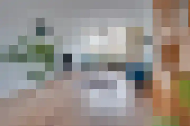 Steenakkers 57 Tynaarlo thumbnail 9