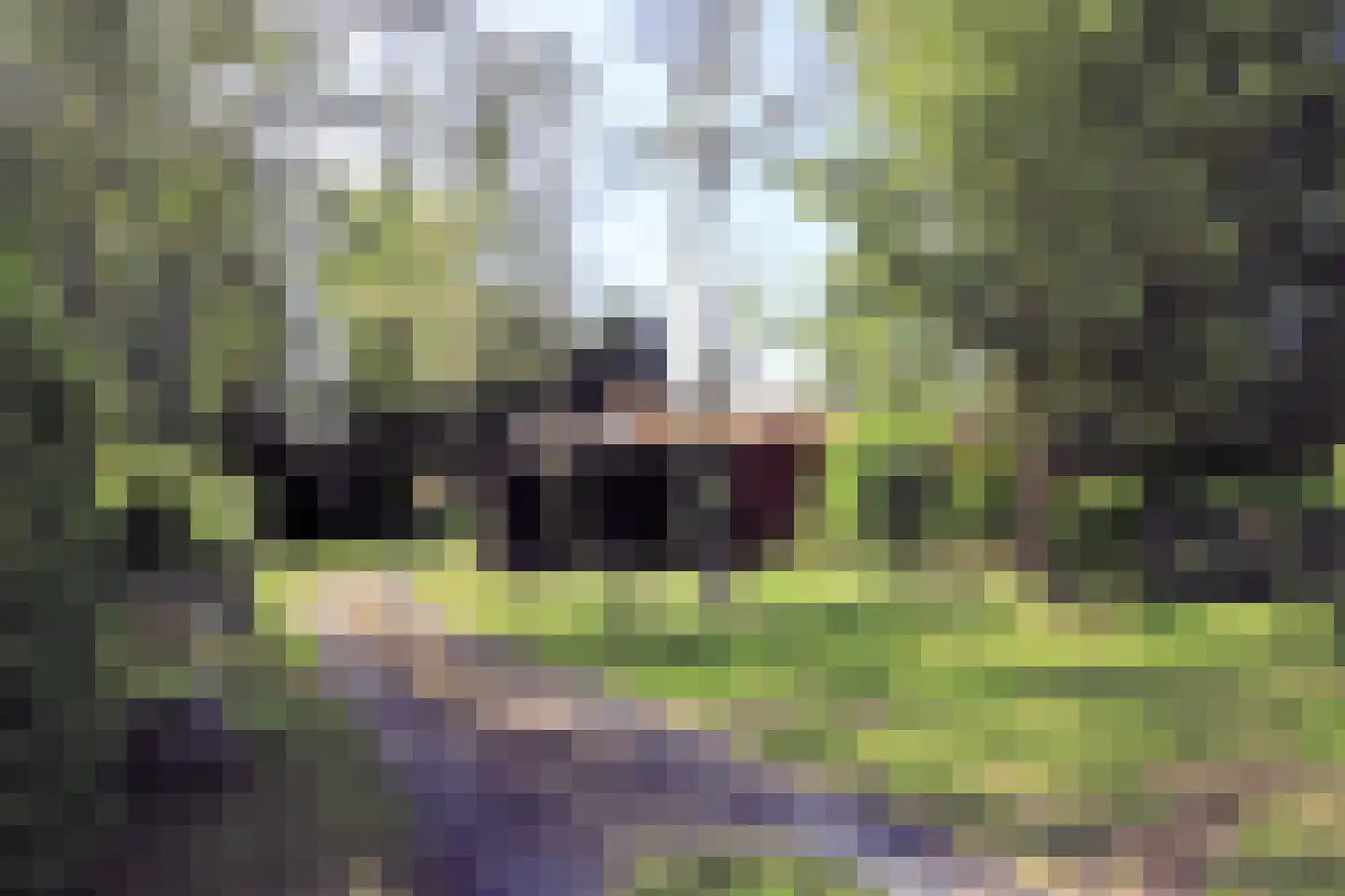Steenakkers-Oost 7 Onna thumbnail 12
