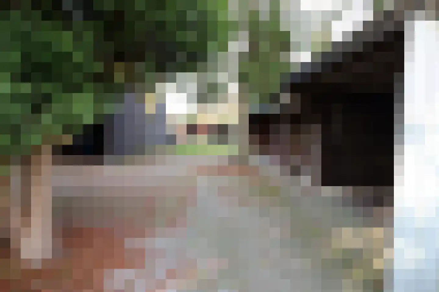 Steenakkers-Oost 7 Onna thumbnail 14