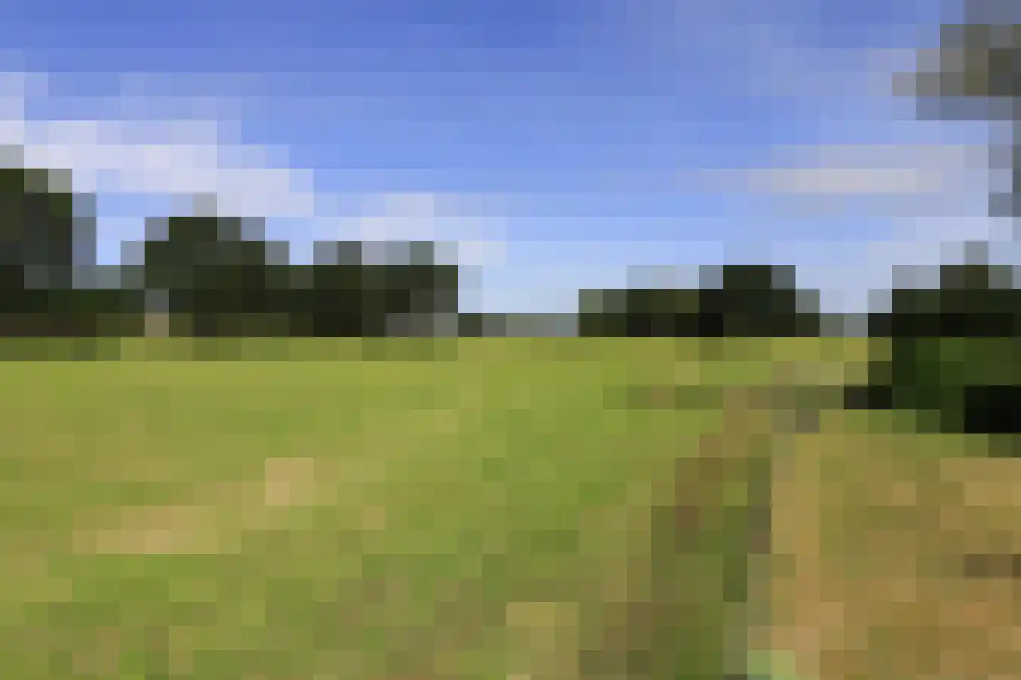 Steenakkers-Oost 7 Onna thumbnail 16