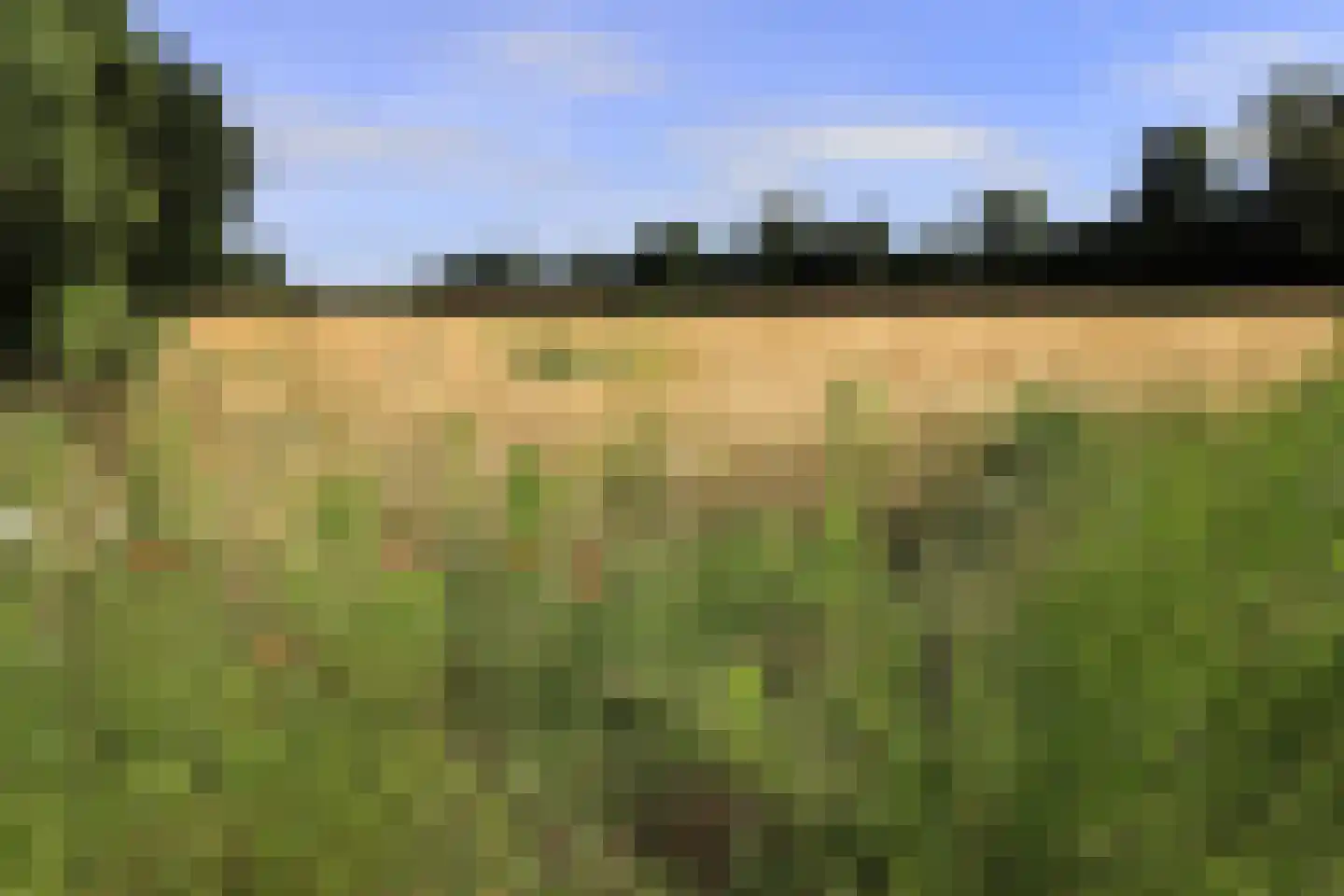 Steenakkers-Oost 7 Onna thumbnail 17