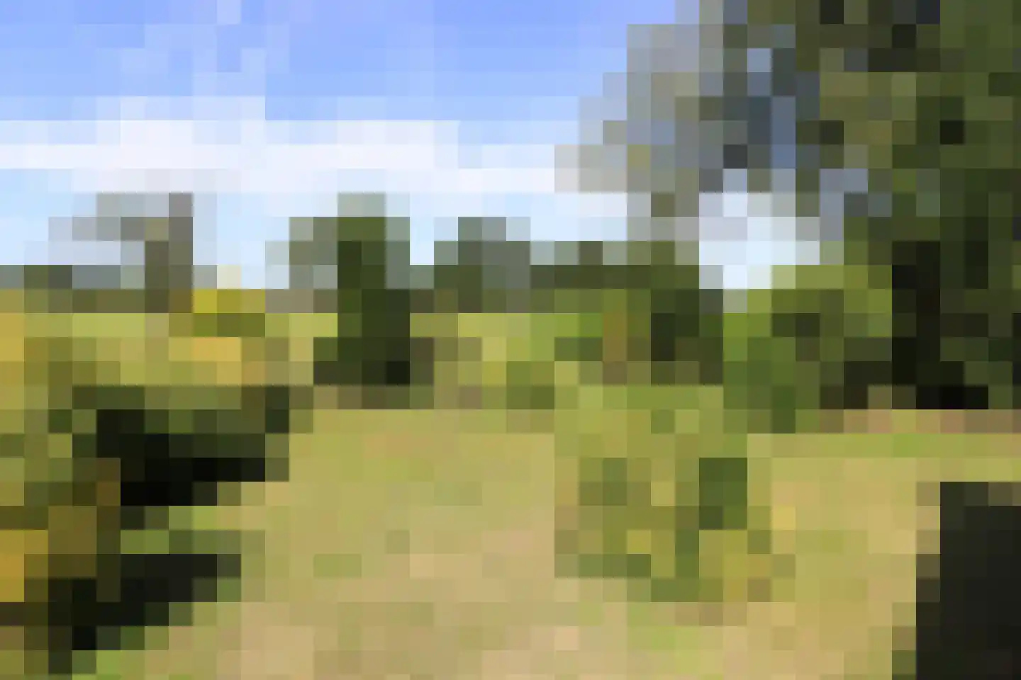 Steenakkers-Oost 7 Onna thumbnail 18