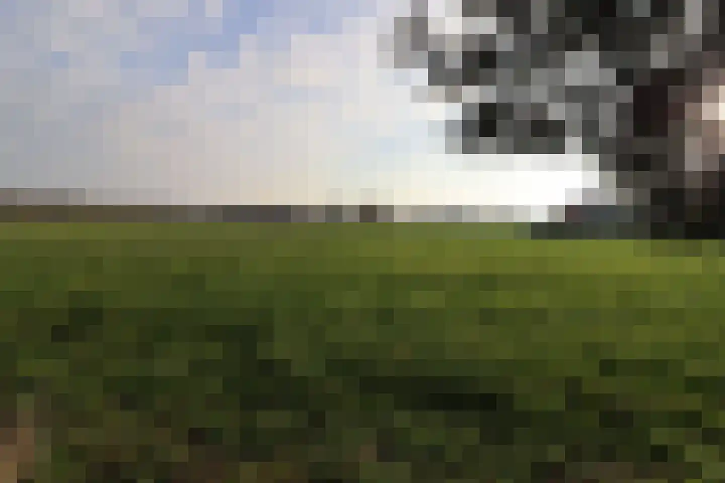 Steenakkers-Oost 7 Onna thumbnail 5