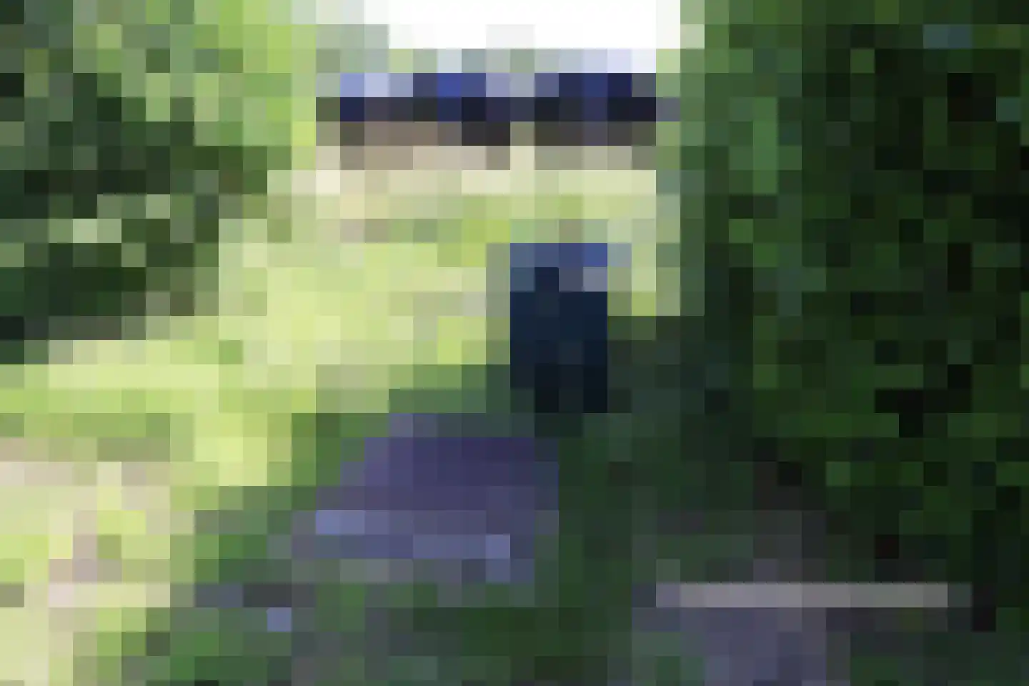Steenakkers-Oost 7 Onna thumbnail 8