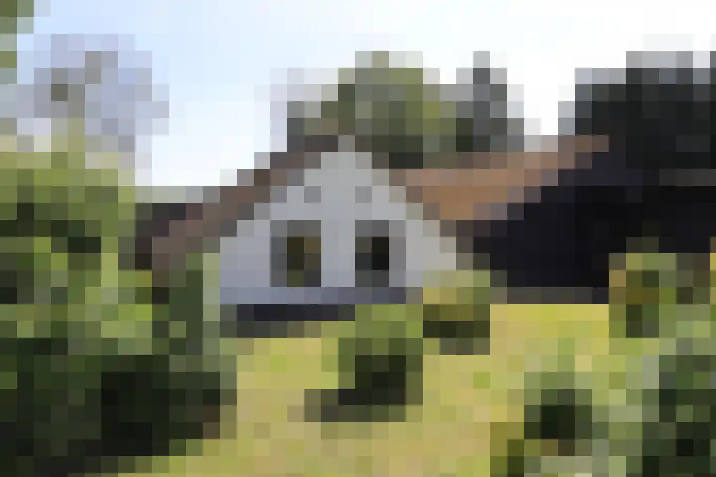 Steenakkers-Oost 7 Onna thumbnail 9