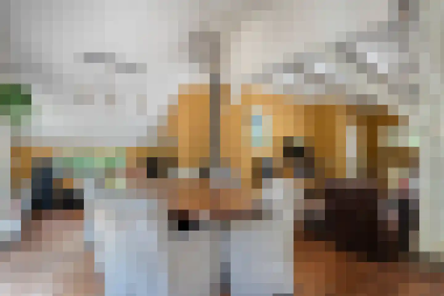 Steenakkers-Oost 8 Onna thumbnail 12
