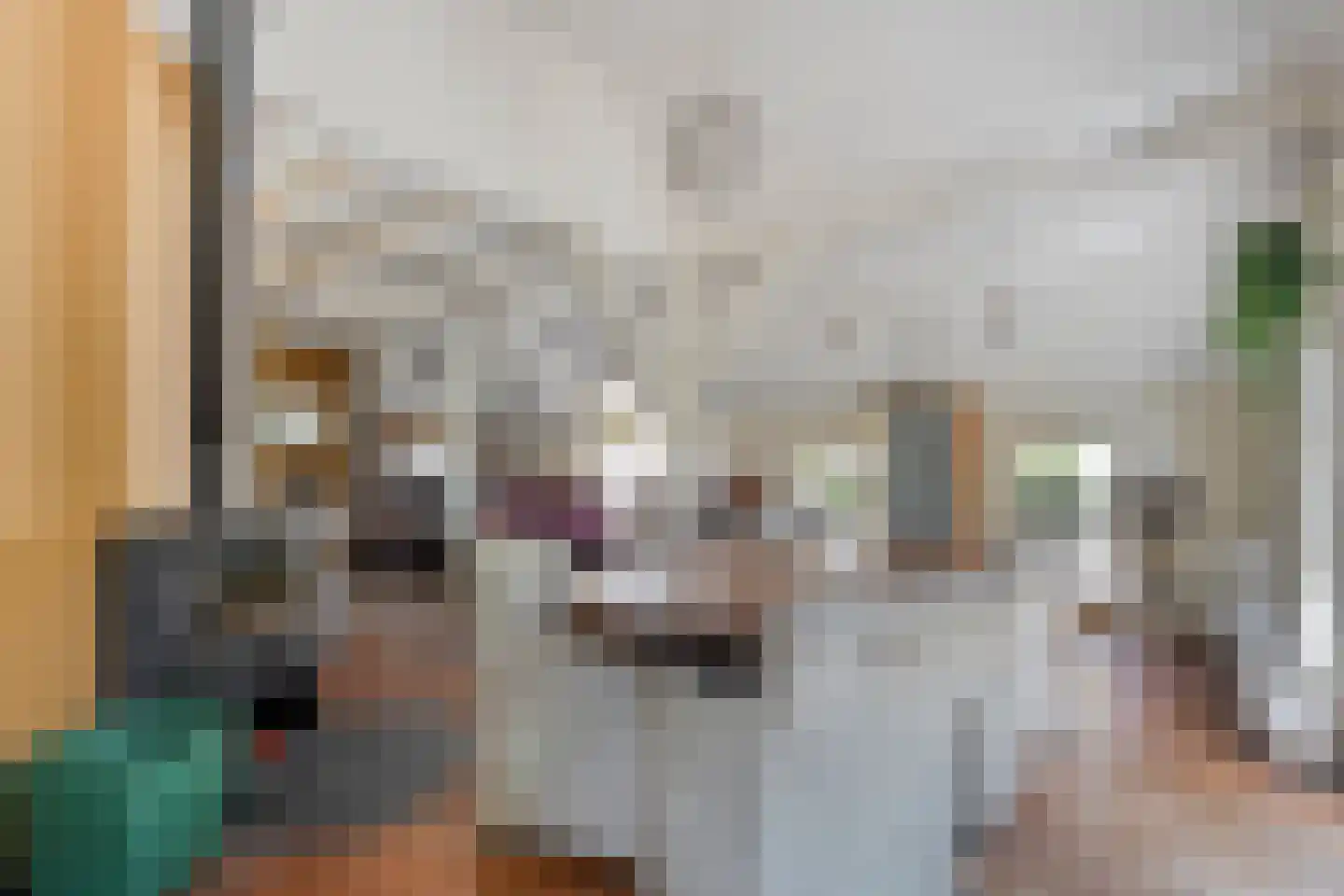 Steenakkers-Oost 8 Onna thumbnail 13