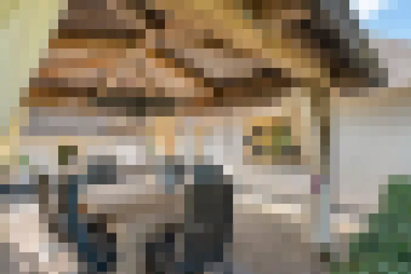 Steenakkers-Oost 8 Onna thumbnail 39