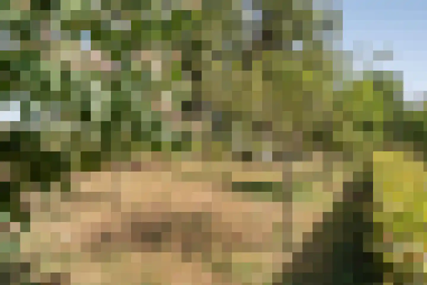 Steenakkers-Oost 8 Onna thumbnail 42
