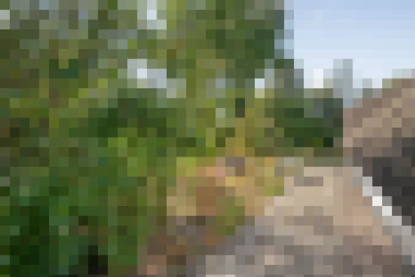 Steenakkers-Oost 8 Onna thumbnail 44