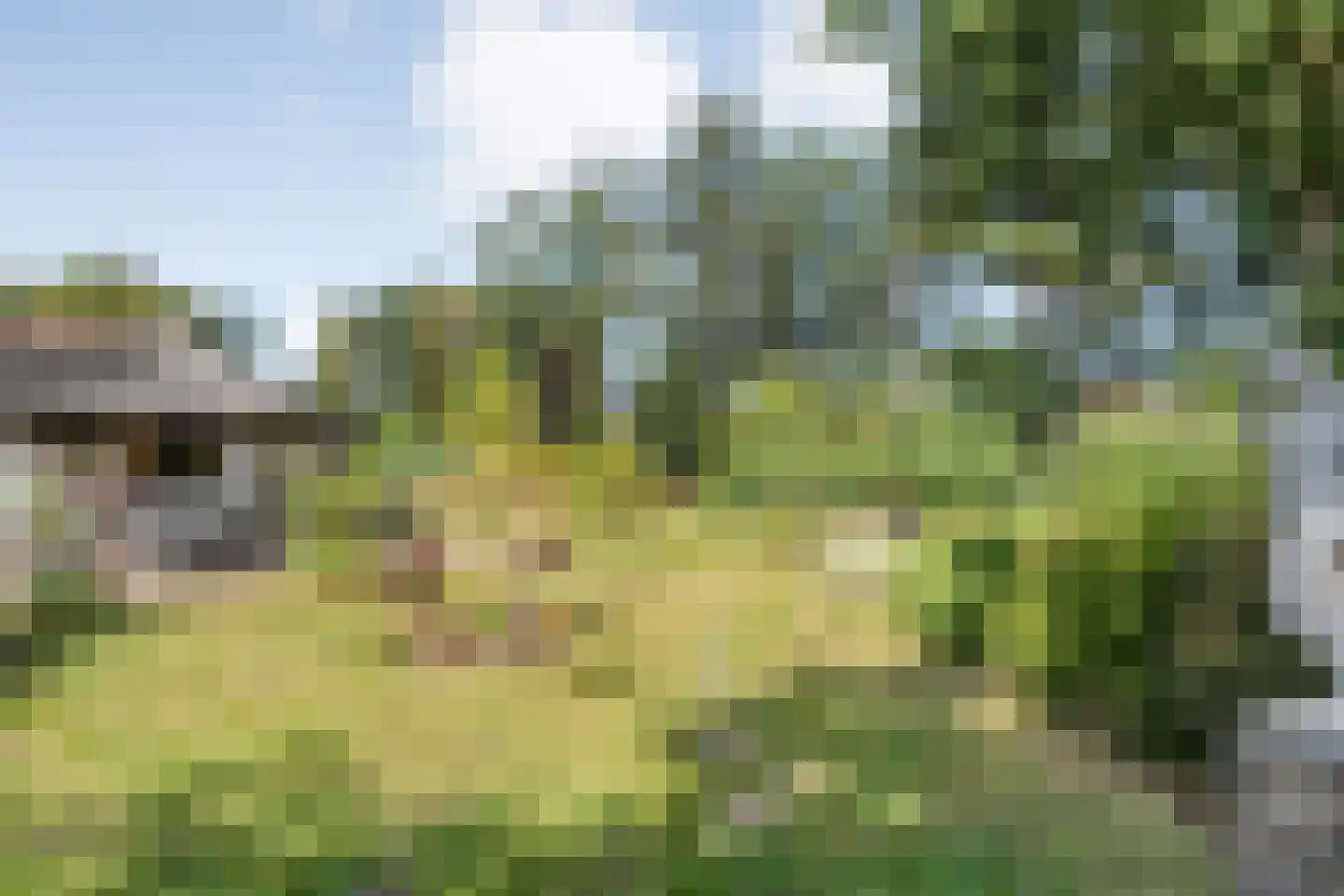 Steenakkers-Oost 8 Onna thumbnail 47