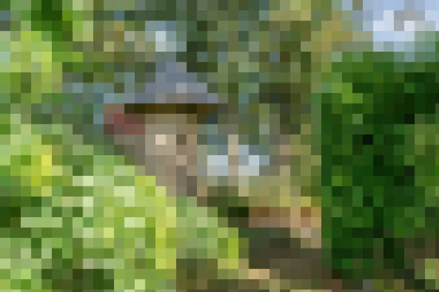 Steenakkers-Oost 8 Onna thumbnail 48