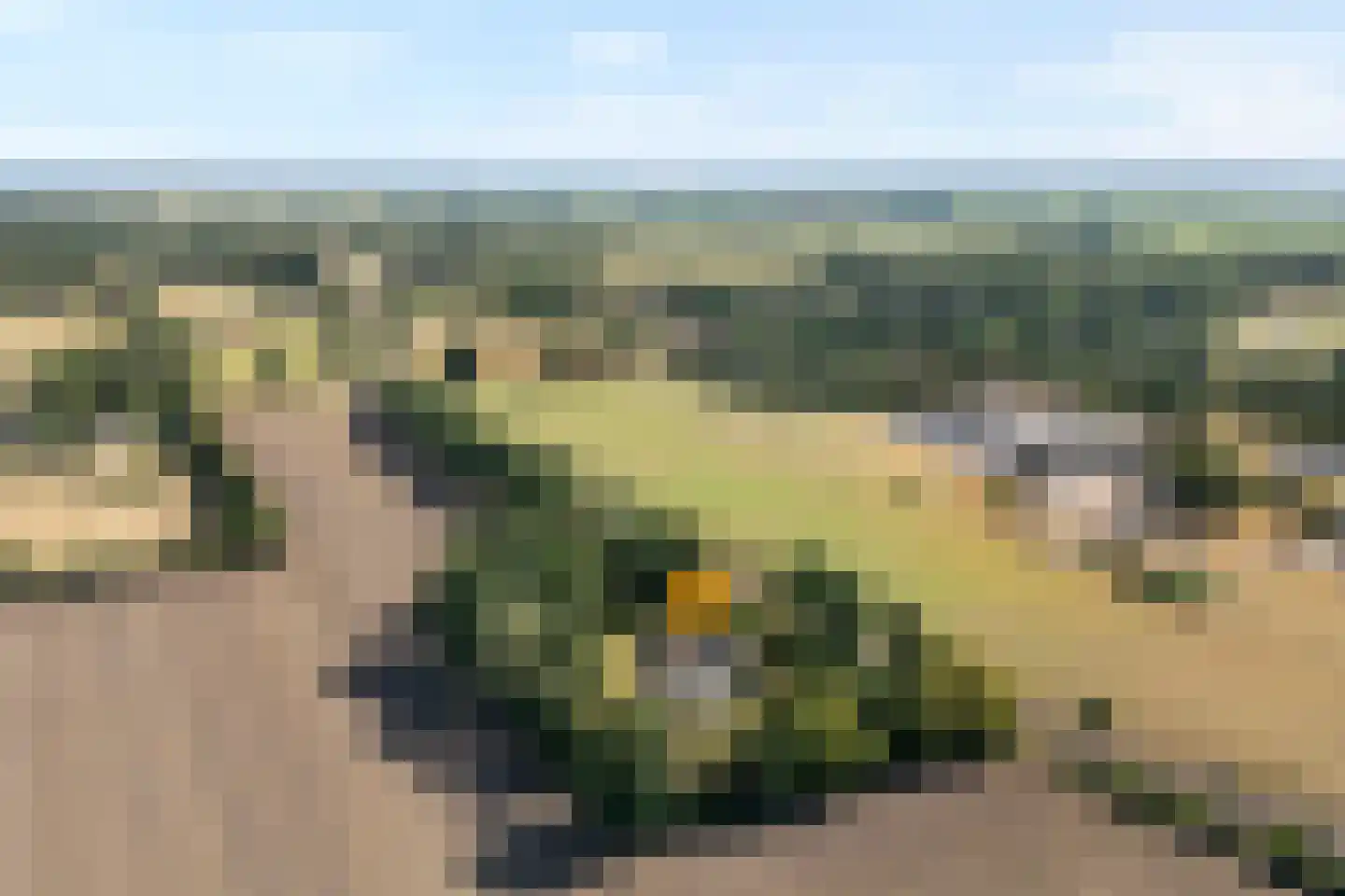 Steenakkers-Oost 8 Onna thumbnail 5