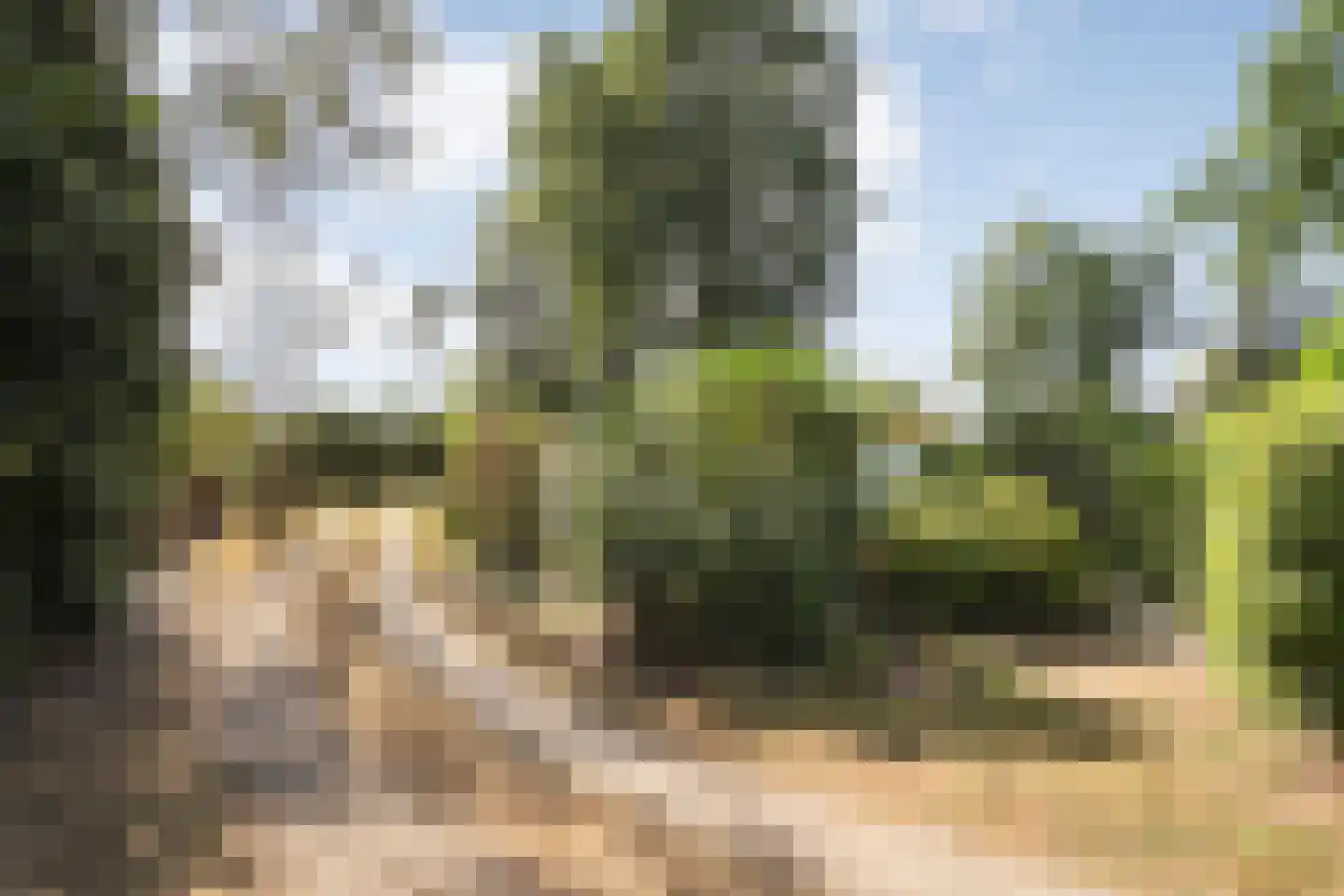 Steenakkers-Oost 8 Onna thumbnail 53