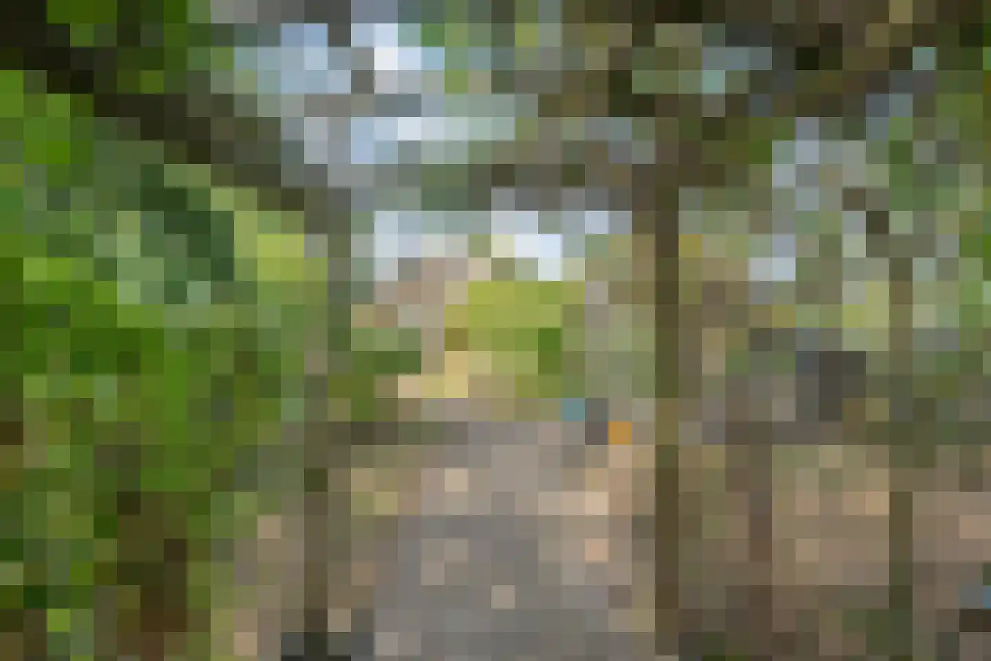 Steenakkers-Oost 8 Onna thumbnail 57