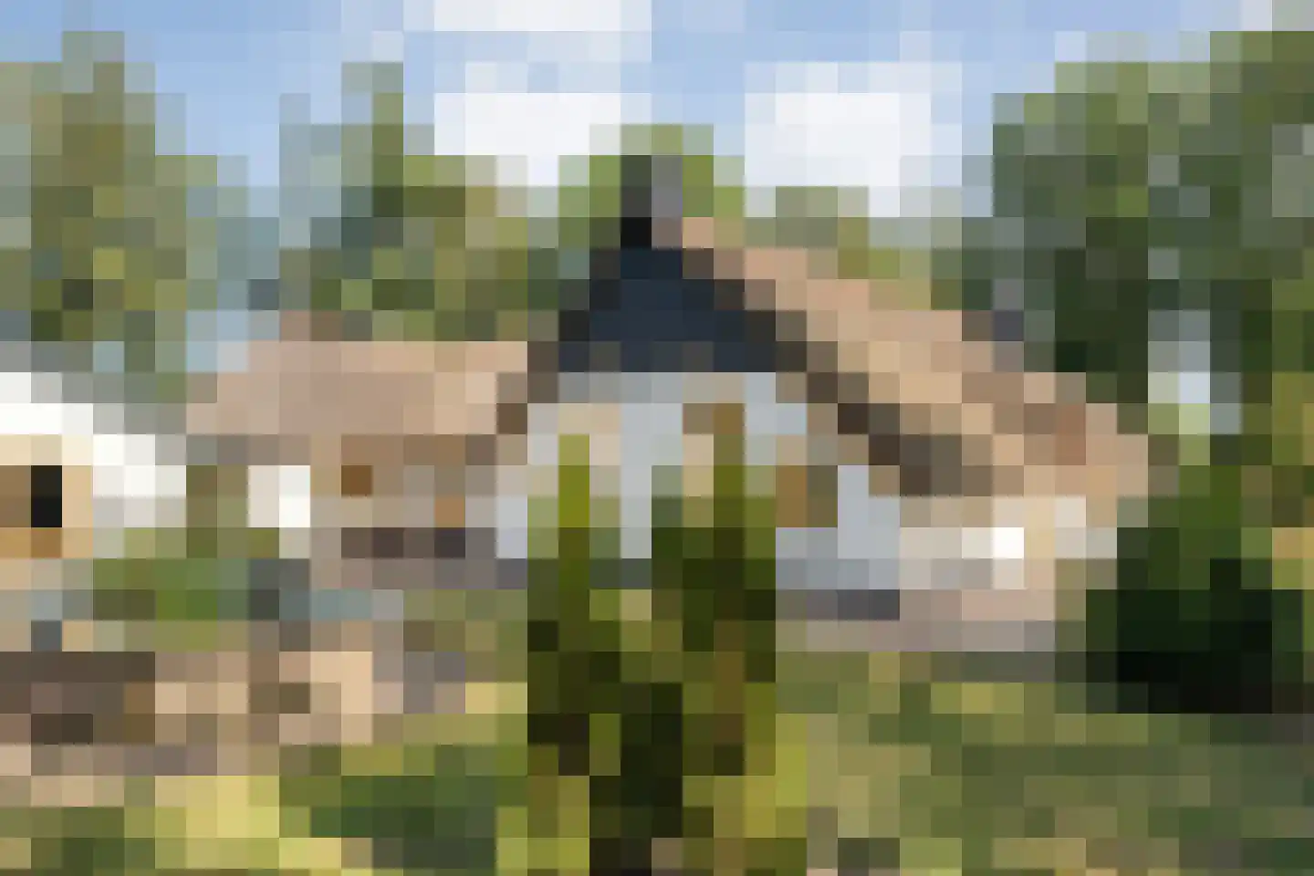 Steenakkers-Oost 8 Onna thumbnail 58