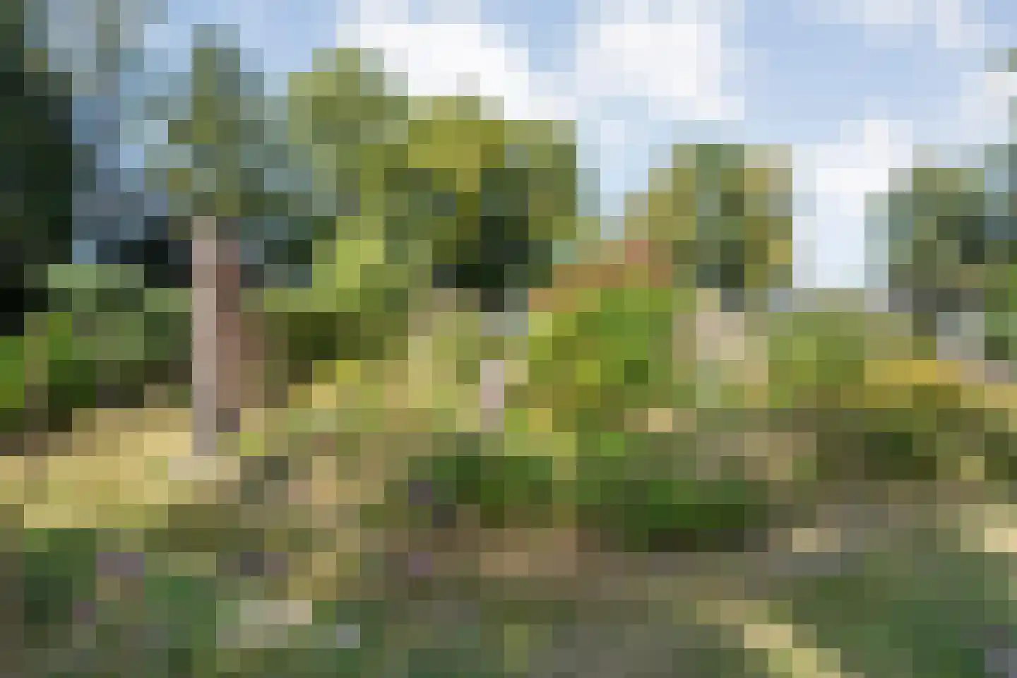 Steenakkers-Oost 8 Onna thumbnail 61