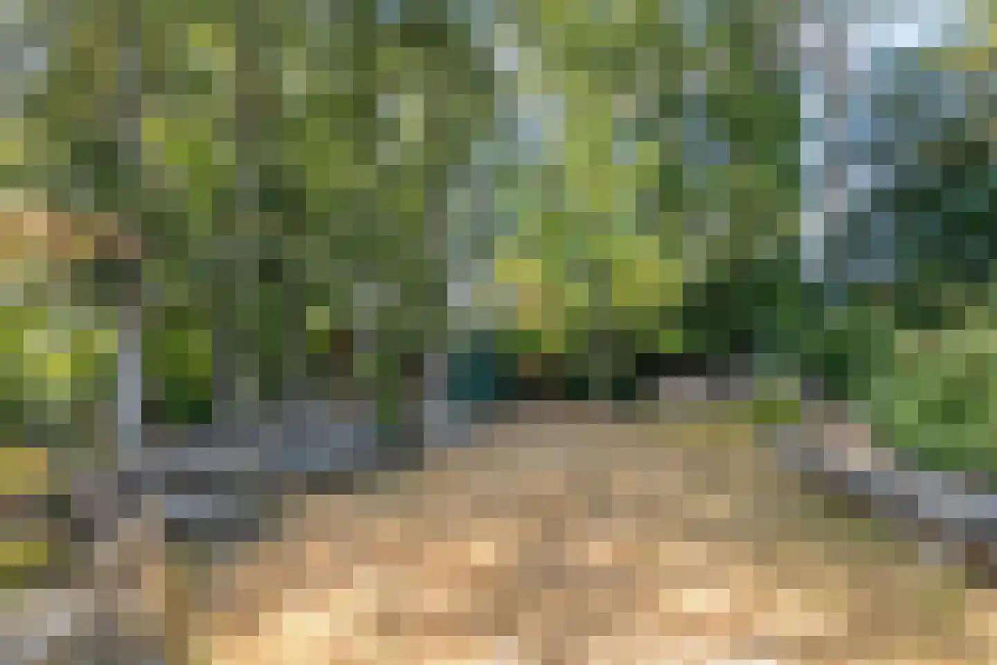Steenakkers-Oost 8 Onna thumbnail 62