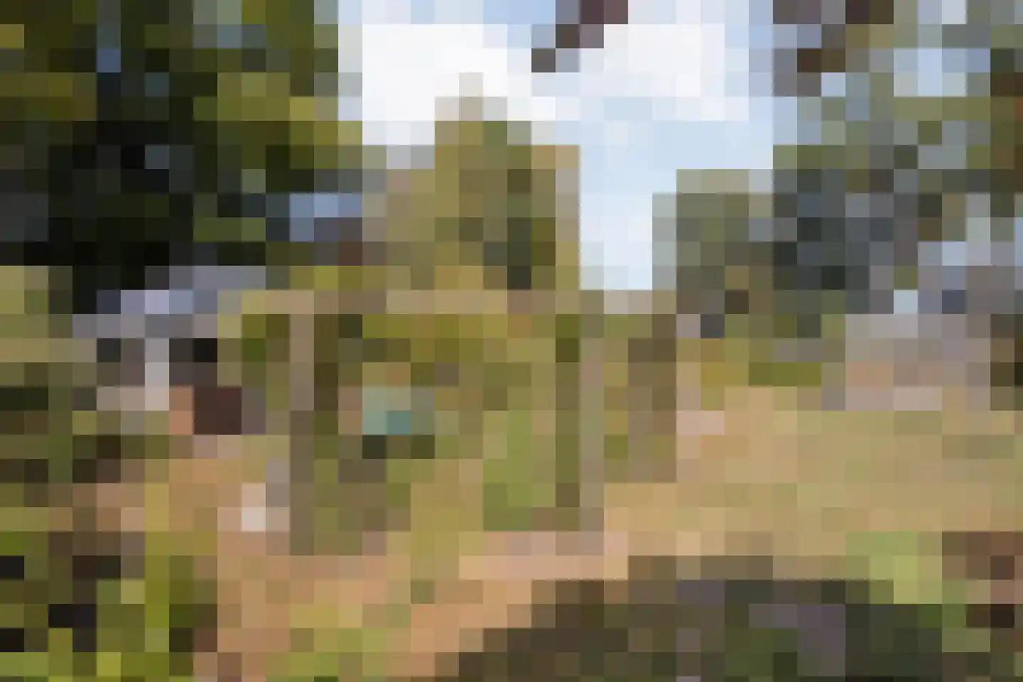Steenakkers-Oost 8 Onna thumbnail 63